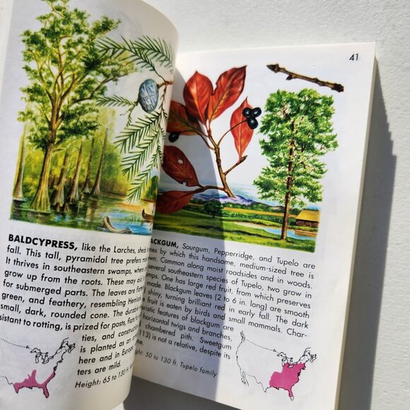 Trees Field Guide Plants botany Golden Guides St. Martin's Press BOOKSHARK - Picture 13 of 14